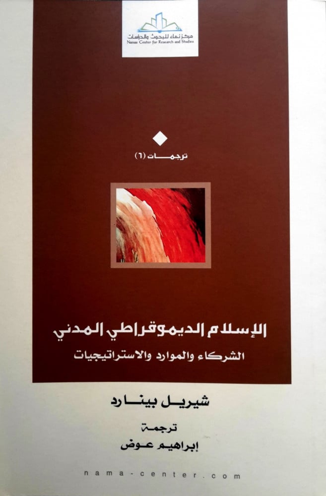 الإسلام الديموقراطي المدني (الشركاء والموارد والاستريجيات)