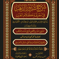 شرح شذور الذهب في معرفة كلام العرب