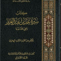 سيرة عمر بن عبد العزيز