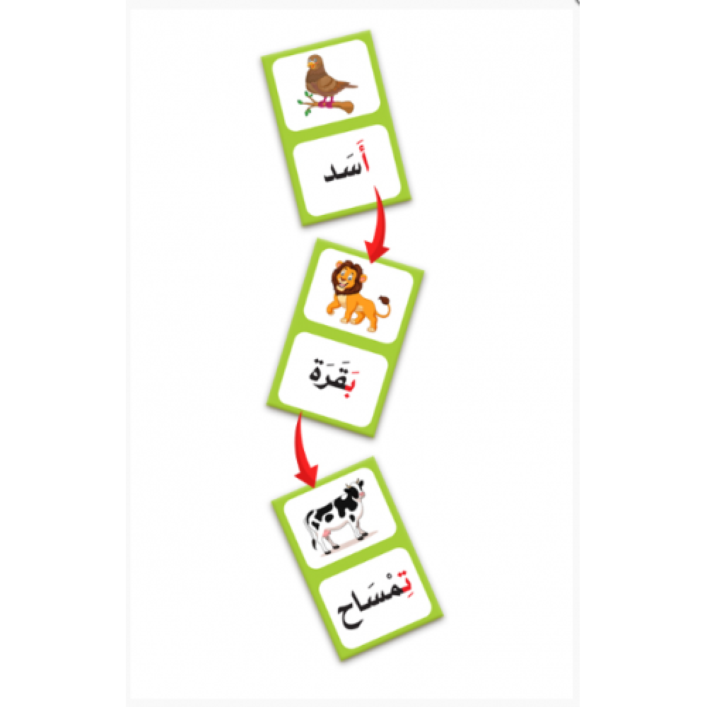 Animal Domino | دومينو الحيوانات
