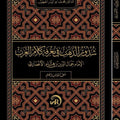 شذور الذهب في معرفة كلام العرب | الإمام جمال الدين ابن هشام | مراجعة: د. محمد أبو اليسر الخطيب | نسخة طالب العلم